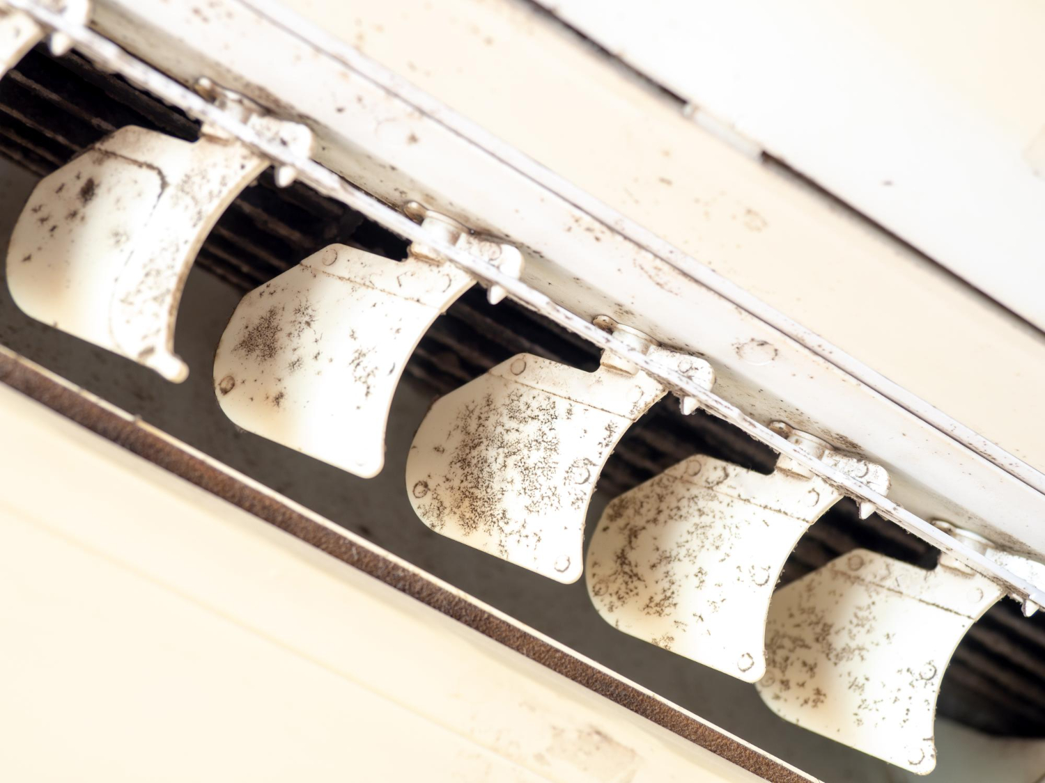 mold on ac